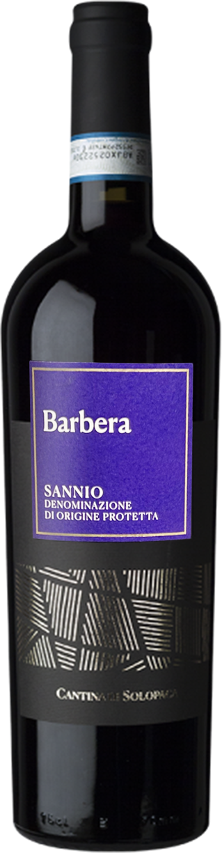 Barbera Sannio DOP – Volcanic Wine Safra 2021
