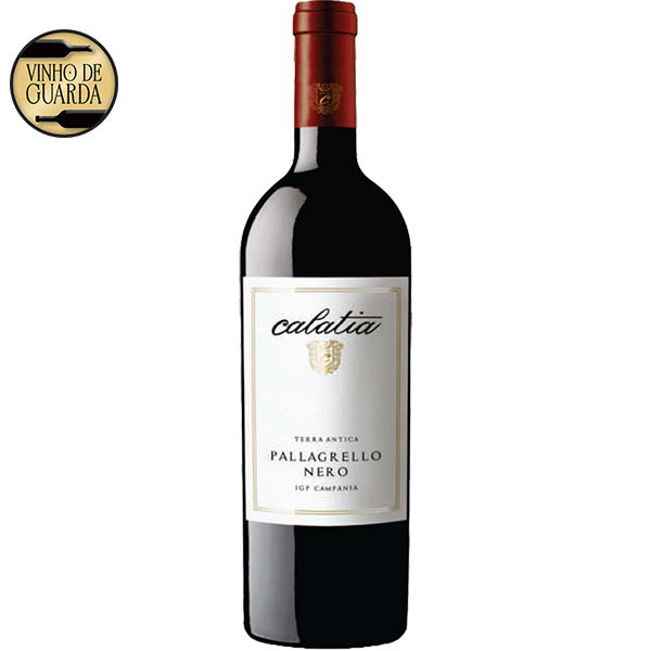 Pallagrello Nero Calatia – Safra 2021