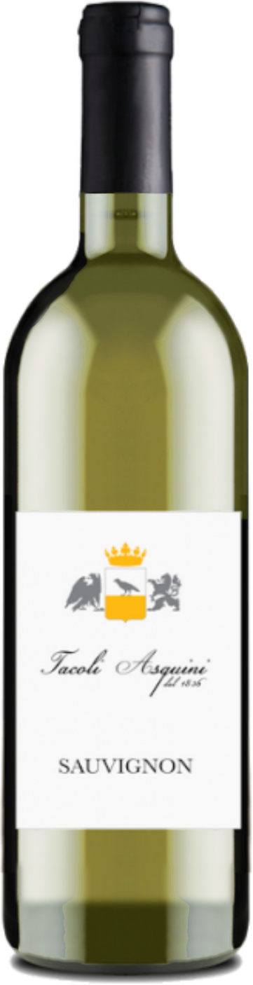 Sauvignon Blanc Venezia Giulia IGT – Safra 2022